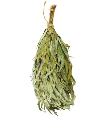 Witki eukaliptusowe RENTO